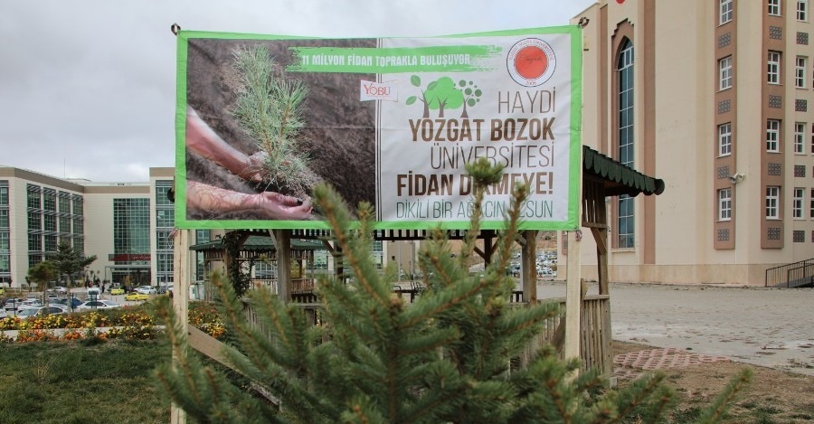 11 Kasım Milli Ağaçlandırma Günü Etkinlikleri